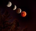 Lunar eclipse composite 8Oct2014