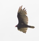 French River Sept 2013