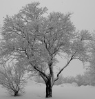 20130823180731-6249a26e