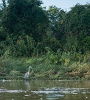 20130925225709-f988e886