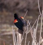 20130823180145-60a0f399