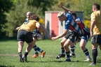 Rugby