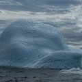 NFLD 2017Jun18-48
