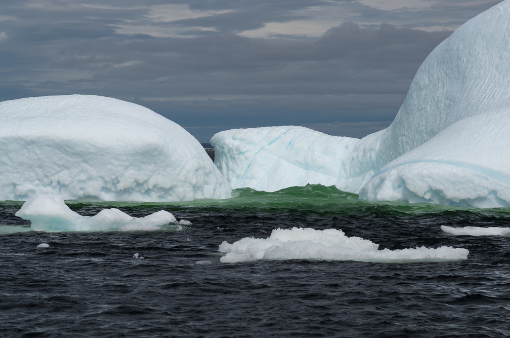 NFLD_2017Jun18-50.jpg