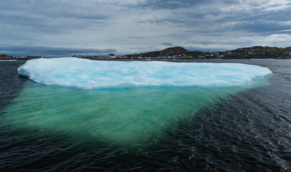 NFLD_2017Jun18-59.jpg