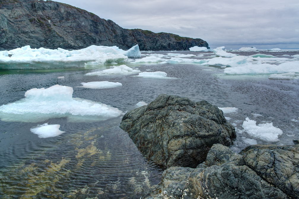 NFLD_2017Jun18-22.jpg