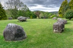 Ireland-29